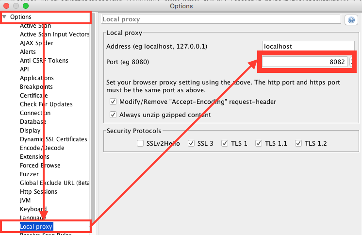 ZAP Proxy Port Configuration